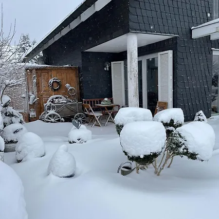 Rennsteiggruss Tatil Evi *